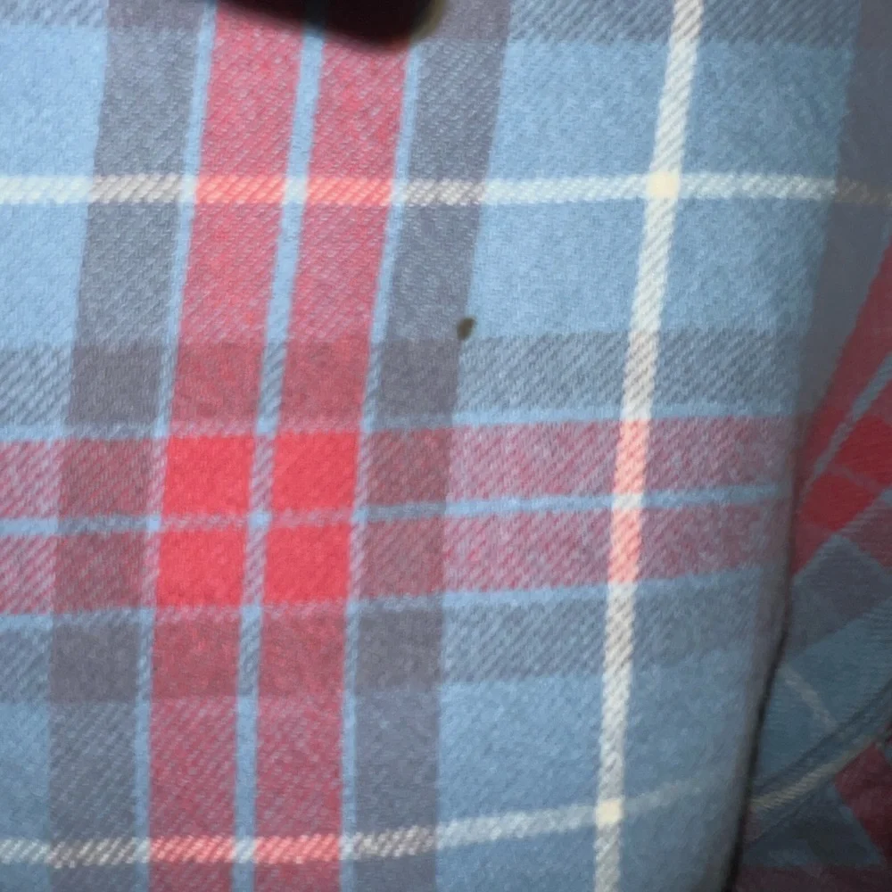 Polo by Ralph Lauren Blue and Red Casual Button Down Shirt